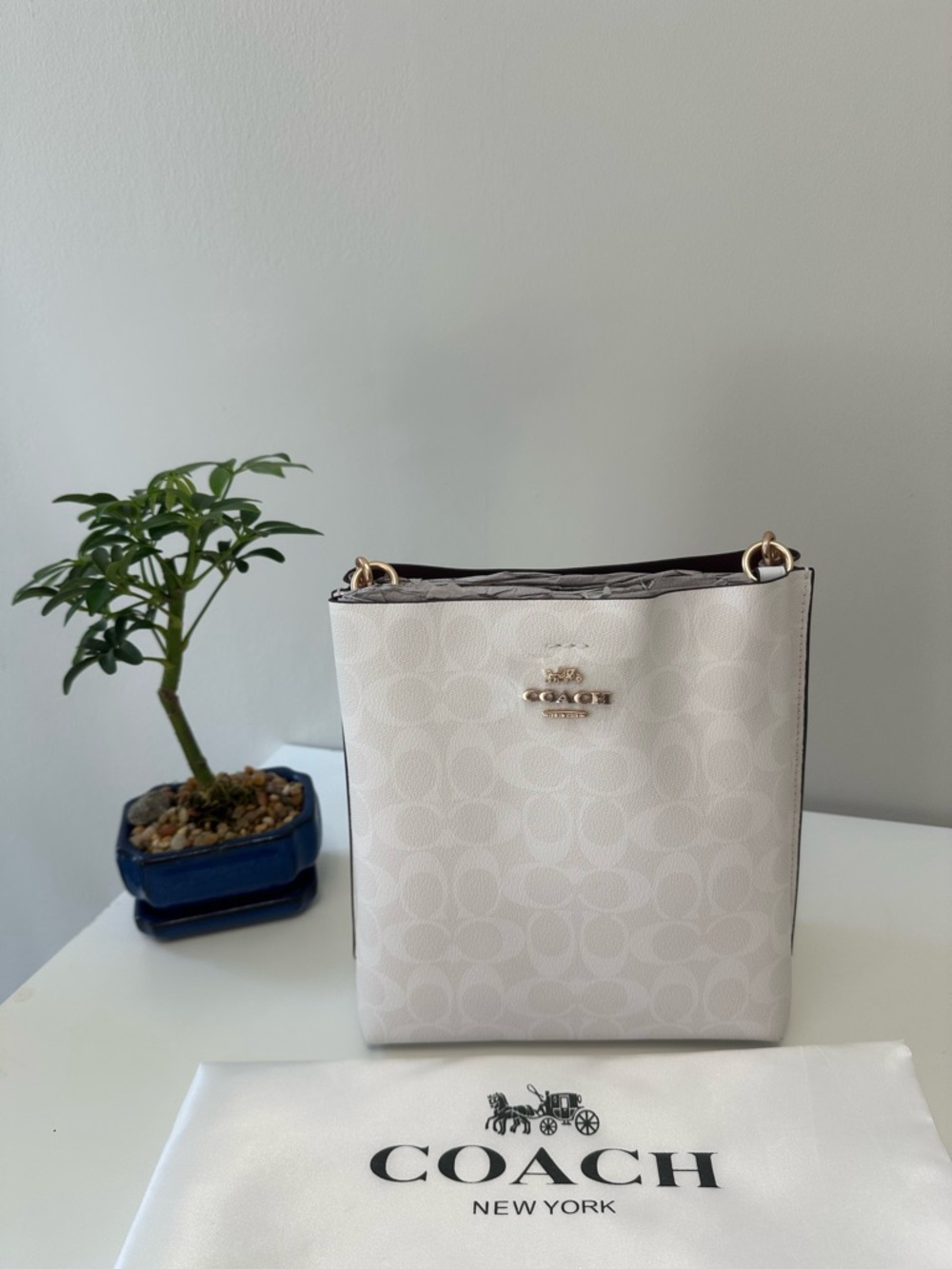 Coach White Signature Crossbody Bag - Coach